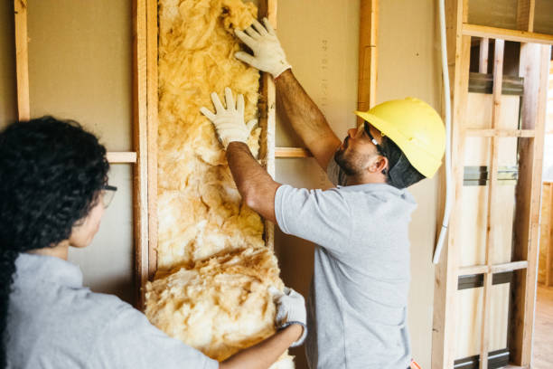 Best Blown-in Insulation  in Sequim, WA