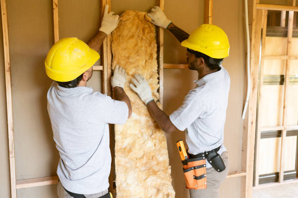 Best Cellulose Insulation  in Sequim, WA